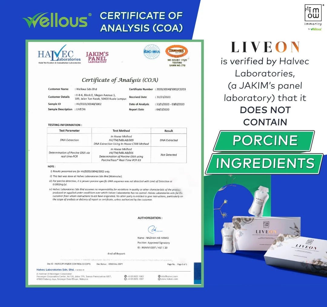 LIVEON_Halvec-certificate_EN
