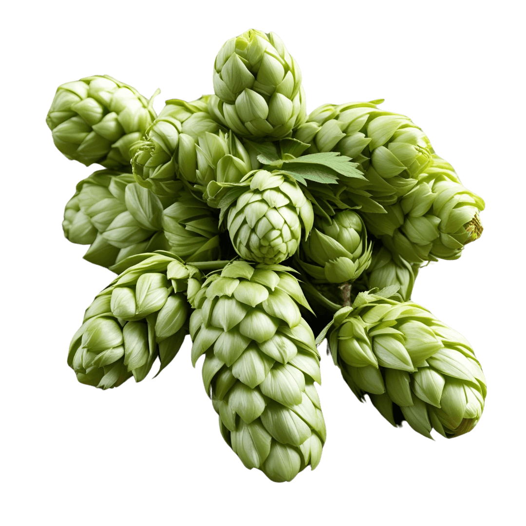 hops