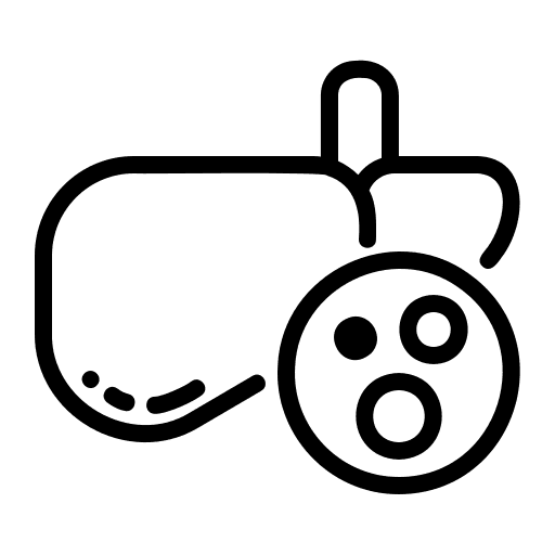 alcohol liver metabolism