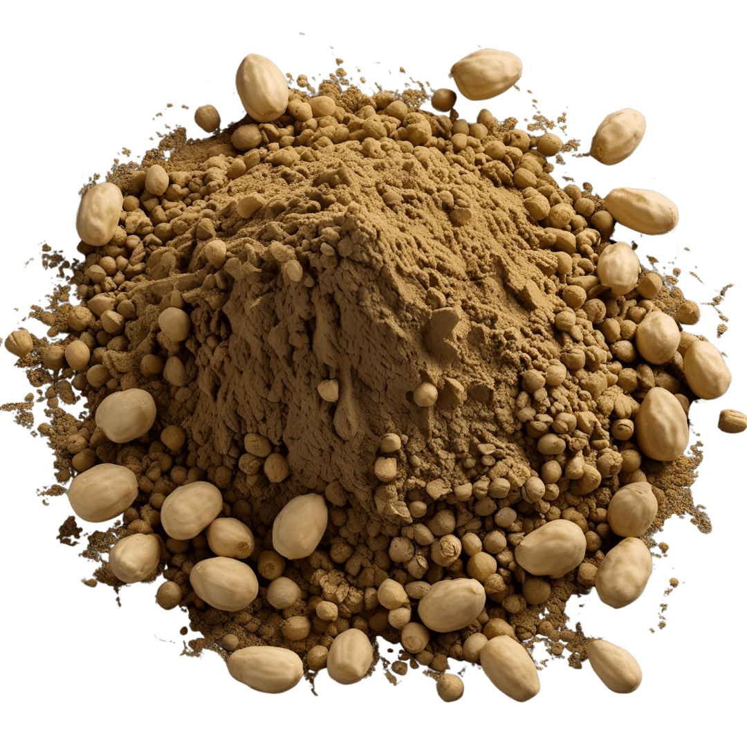 maca