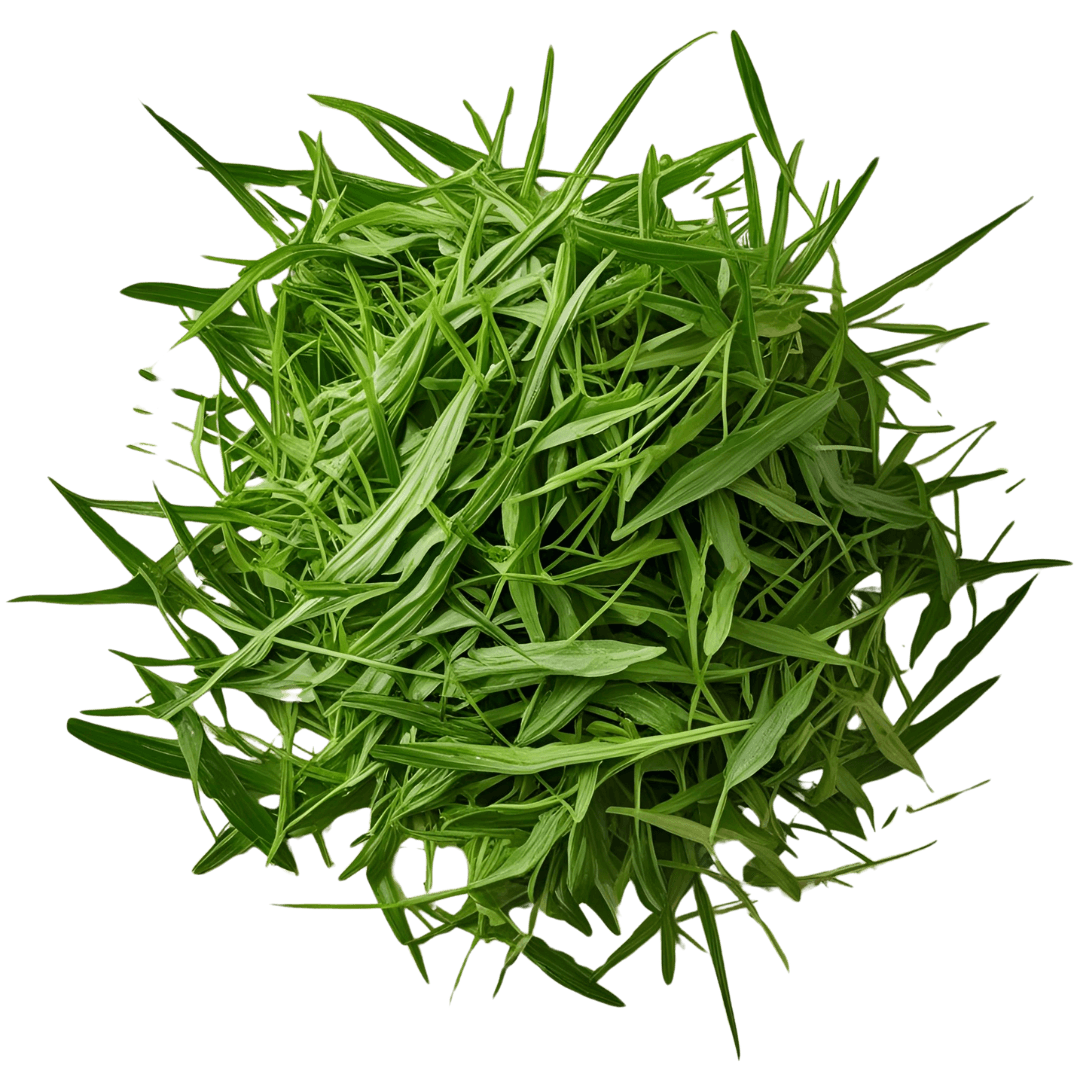 nutritional grasses